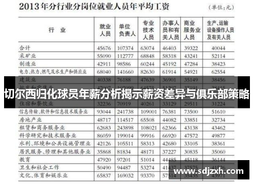 切尔西归化球员年薪分析揭示薪资差异与俱乐部策略