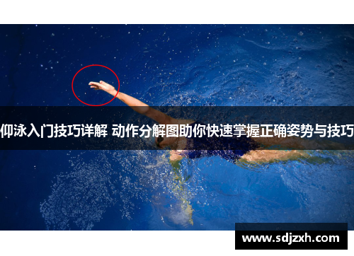 仰泳入门技巧详解 动作分解图助你快速掌握正确姿势与技巧