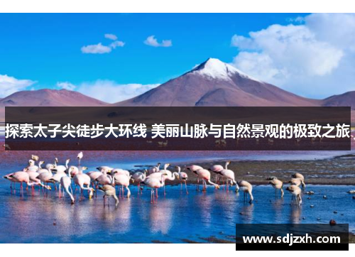探索太子尖徒步大环线 美丽山脉与自然景观的极致之旅