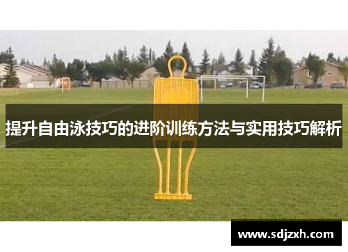 提升自由泳技巧的进阶训练方法与实用技巧解析