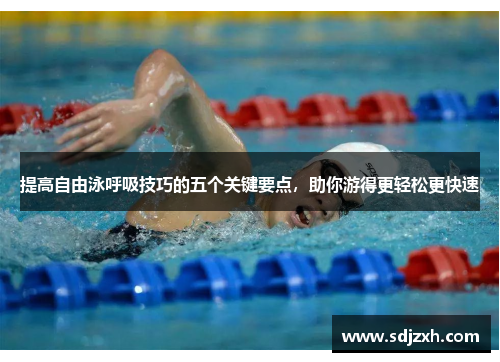 提高自由泳呼吸技巧的五个关键要点，助你游得更轻松更快速