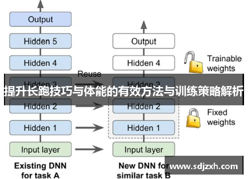 提升长跑技巧与体能的有效方法与训练策略解析