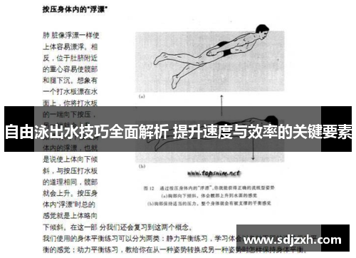 自由泳出水技巧全面解析 提升速度与效率的关键要素