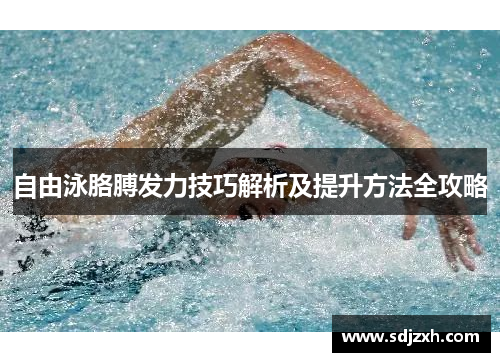 自由泳胳膊发力技巧解析及提升方法全攻略