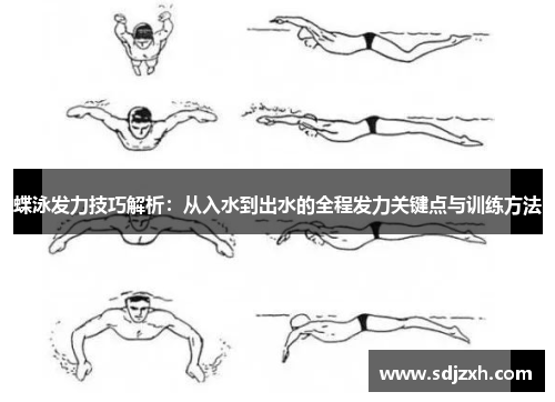 蝶泳发力技巧解析：从入水到出水的全程发力关键点与训练方法