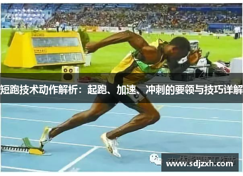 短跑技术动作解析：起跑、加速、冲刺的要领与技巧详解
