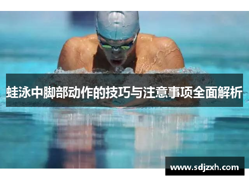 蛙泳中脚部动作的技巧与注意事项全面解析