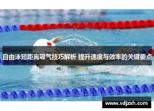 自由泳短距离吸气技巧解析 提升速度与效率的关键要点